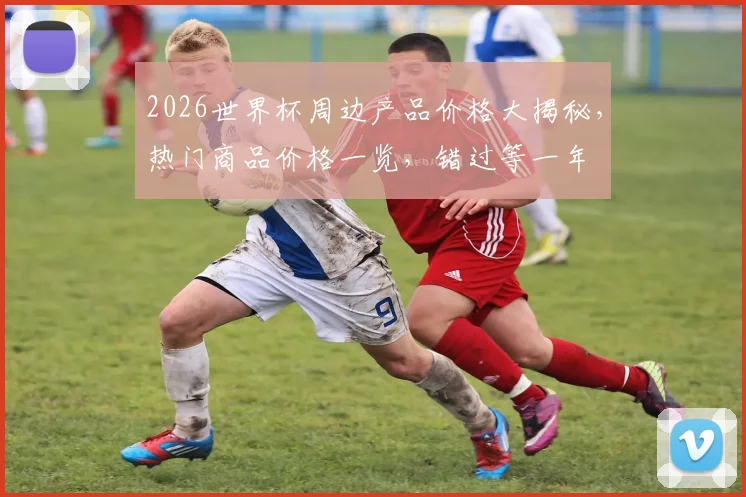 2026世界杯周边产品价格大揭秘，热门商品价格一览，错过等一年
