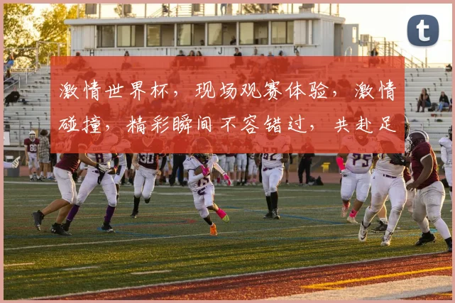 激情世界杯，现场观赛体验，激情碰撞，精彩瞬间不容错过，共赴足球盛宴