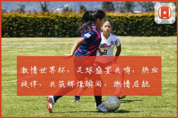 激情世界杯，足球盛宴共鸣，热血旋律，共筑辉煌瞬间，燃情启航