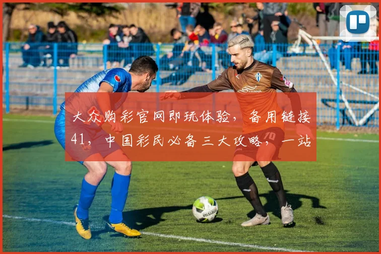 大众购彩官网即玩体验，备用链接41，中国彩民必备三大攻略，一站搞定