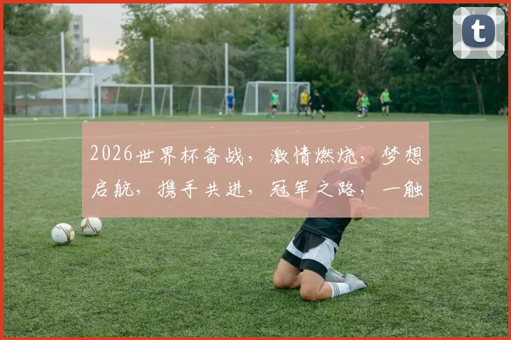 2026世界杯备战，激情燃烧，梦想启航，携手共进，冠军之路，一触即发，勇攀高峰